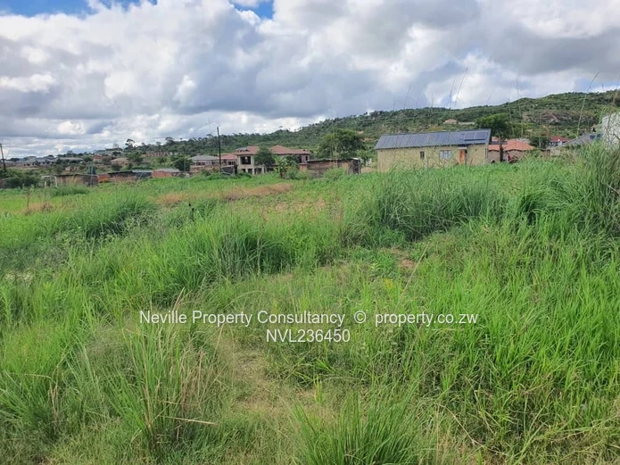 Crowhill Palm Villers 