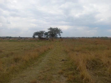 Farm & Agricultural Land