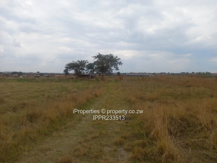 A 2.6Ha plot in Rainham is available for sale at $130000