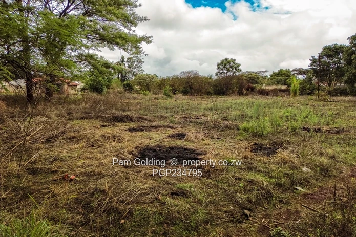 Vacant Title Stand in Good Location