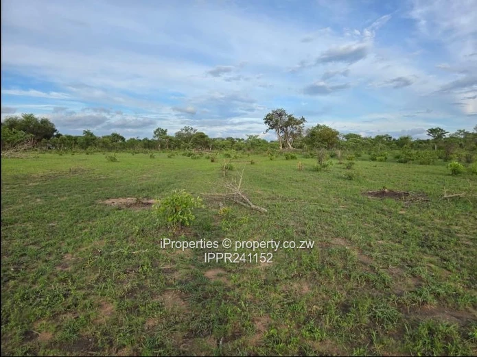 Choice of 3 Commercial Stands in Kadoma