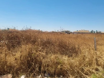 Stands & Residential Land