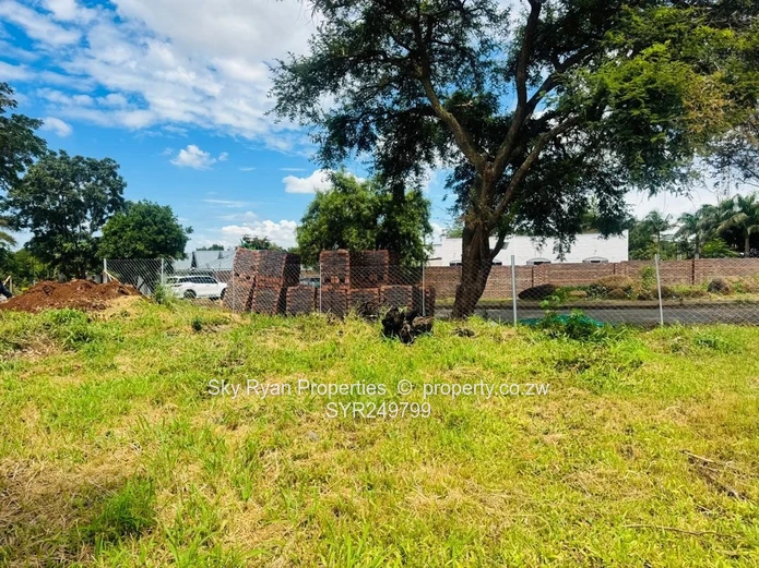 Westgate, Bluffhill Stand For Sale