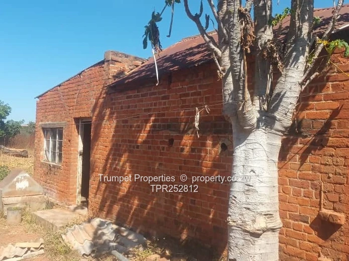 100ha Mvurwi Farm - Dam Views, Barns & Grazing