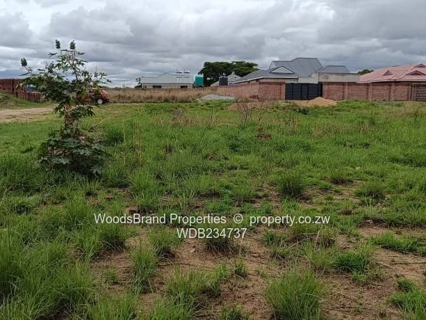 Windsor Park Ruwa Stand For Sale (Sole Mandate)