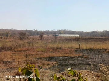 Farm & Agricultural Land