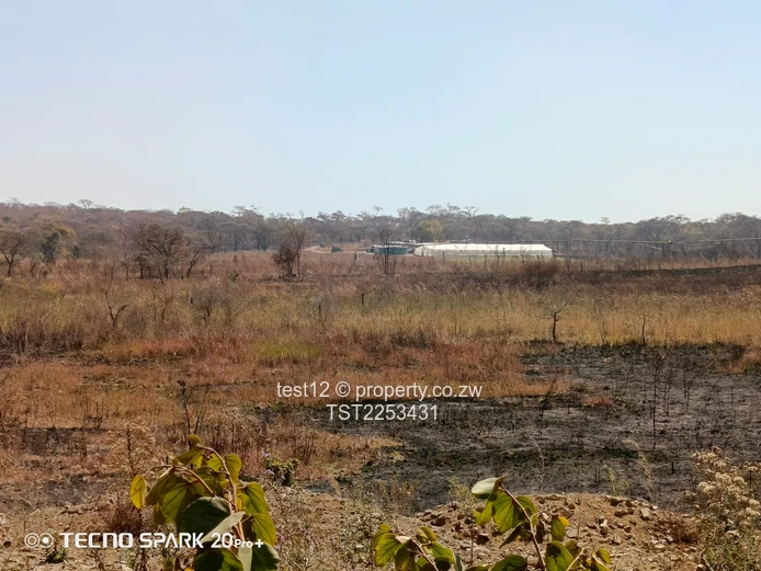 Mazowe Farm For Sale  (Sole Mandate)