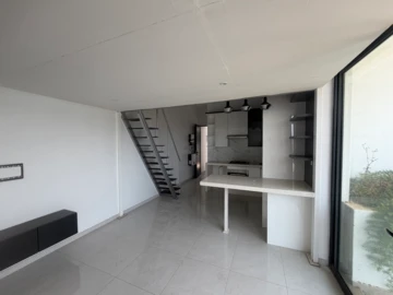 Flat & Apartment