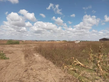 Commercial & Industrial Land