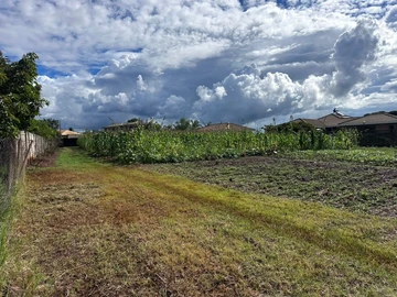 Stands & Residential Land