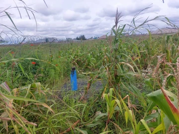 Stands & Residential Land