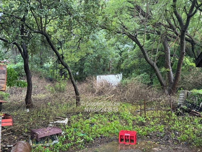 Prime Investment Opportunity in Hillside South – Spacious 3-Bedroom Home on 3,600sqm with Renovation