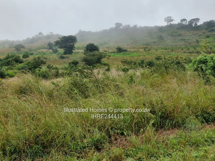 Chance to develop an  Industrial Estate