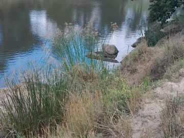 Farm & Agricultural Land