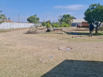 Stands & Residential Land