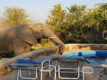 4 Bedroom Townhouse Complex