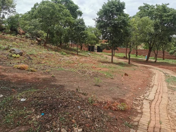 Stands & Residential Land