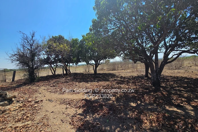 An Exceptional 428 Hectare Somabhula Farm