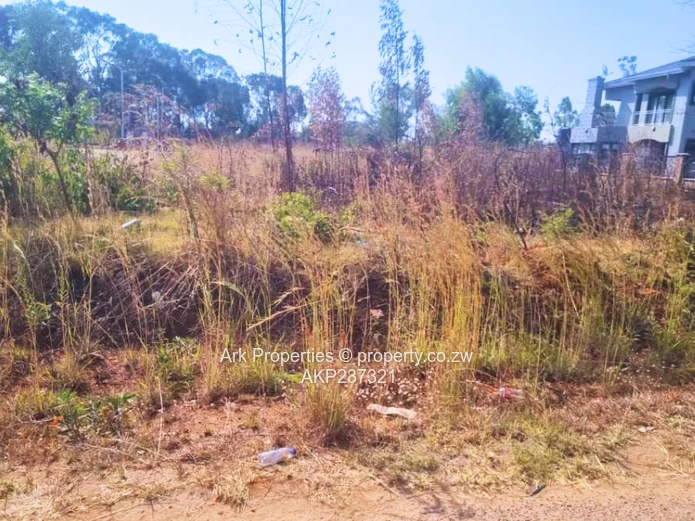 For Sale | Vacant Stand – Arlington Estate