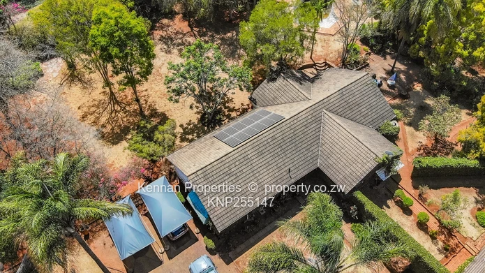 Family Home or Office – Prime Location Just Off Arcturus Road (Sole Mandate)