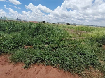 Stands & Residential Land