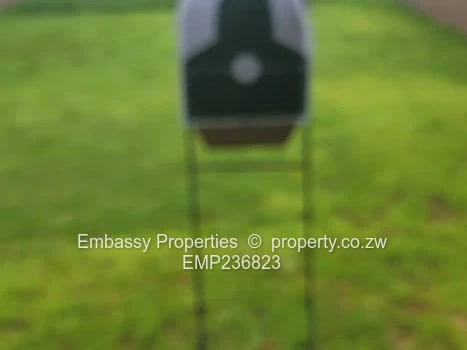 Great investment opportunity