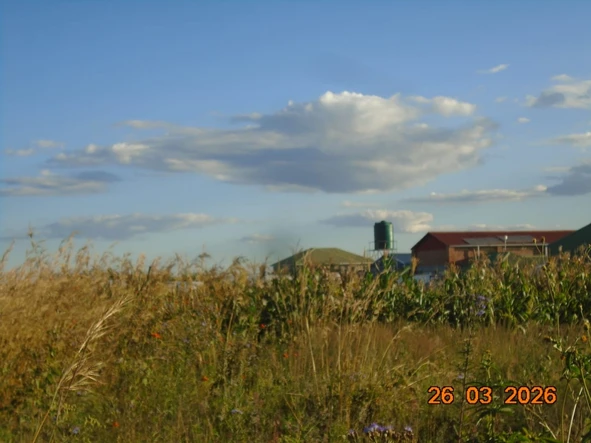 Commercial & Industrial Land