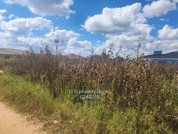Ruwa Timire Park Corner Stand  (Sole Mandate)