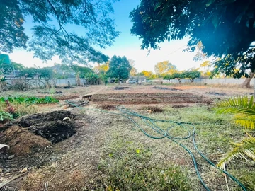 Stands & Residential Land