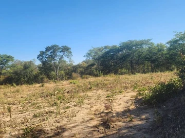 Farm & Agricultural Land