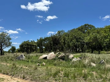 Farm & Agricultural Land