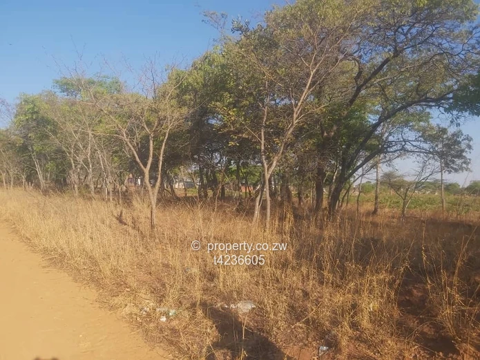 Gweru Hertfordshire stand for sale  (Sole Mandate)