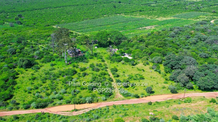Nyamandlovu 1026 farm for sale