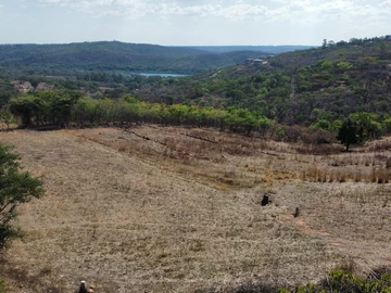 Farm & Agricultural Land