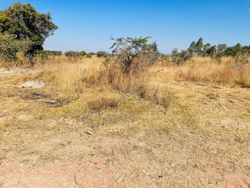 Farm & Agricultural Land