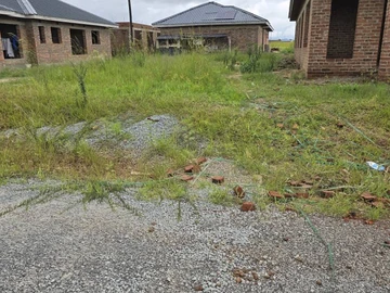 Stands & Residential Land