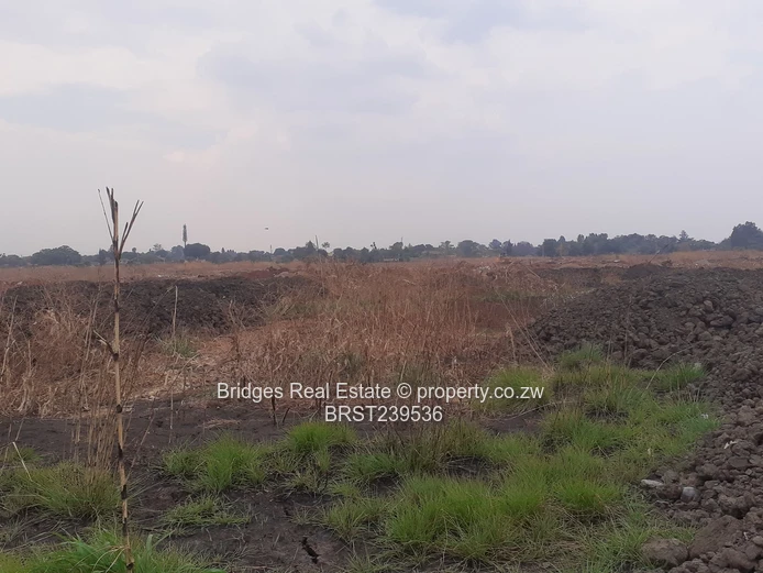 Meet the future,today! The richest sq mile in Harare.