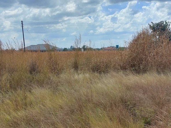 Stands & Residential Land