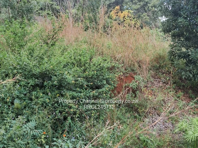 Stand For Sale In Borrowdale Brooke Ridge