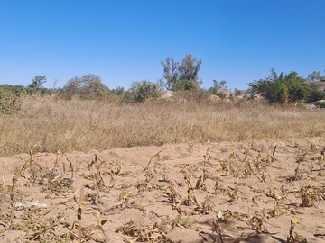 Farm & Agricultural Land