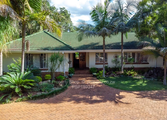 Hidden Gem in Chisipite