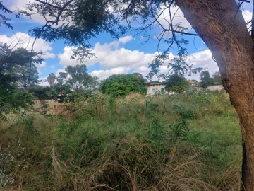 Commercial & Industrial Land