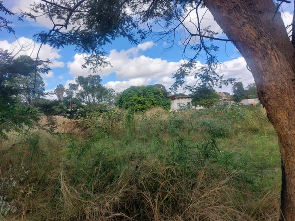 Commercial & Industrial Land