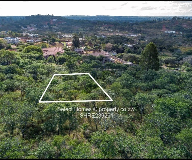 Gletwyn Stand for Sale