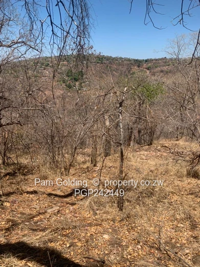 Kariba Heights Stand for Sale – Mushonga Ridge Road (Sole Mandate)