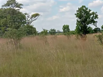 Farm & Agricultural Land