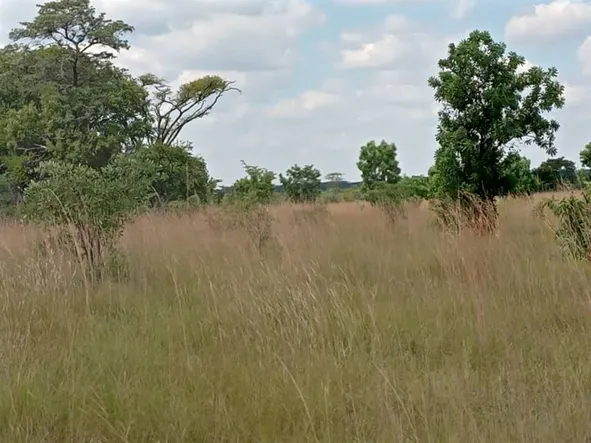 Farm & Agricultural Land