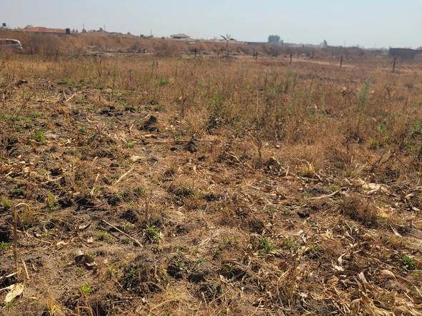 Stands & Residential Land