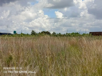 Farm & Agricultural Land