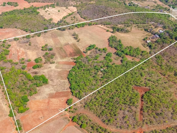 Farm & Agricultural Land